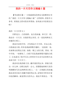我的一片天空作文精编5篇