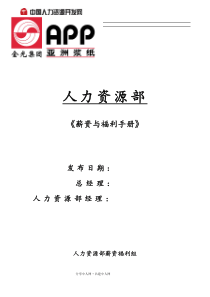 XX纸业集团全套薪资与福利手册