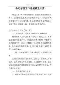 公司年度工作计划精选5篇