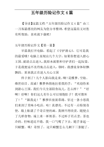 五年级历险记作文4篇