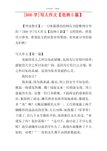 [800字]写人作文【范例5篇】
