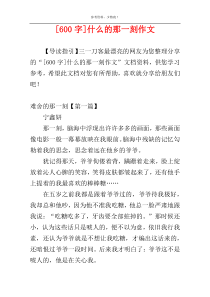 [600字]什么的那一刻作文