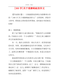 [300字]关于观察蚂蚁的作文