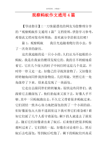 观察蚂蚁作文通用4篇