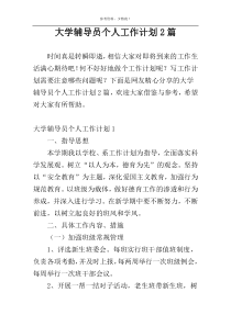 大学辅导员个人工作计划2篇