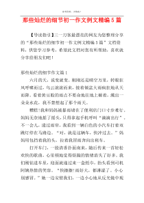 那些灿烂的细节初一作文例文精编5篇