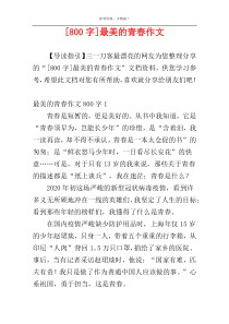 [800字]最美的青春作文