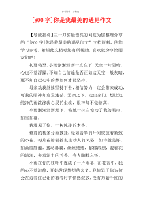 [800字]你是我最美的遇见作文