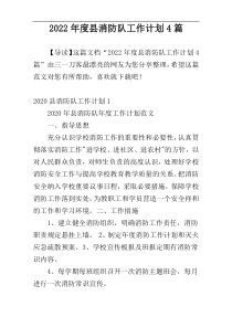 2022年度县消防队工作计划4篇