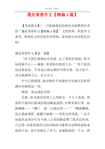 遇见青春作文【精编4篇】