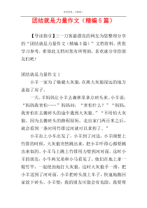 团结就是力量作文（精编5篇）