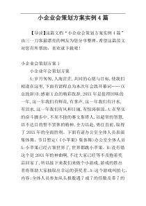 小企业会策划方案实例4篇
