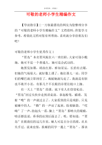 可敬的老师小学生精编作文