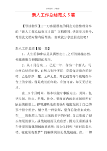 新人工作总结范文5篇