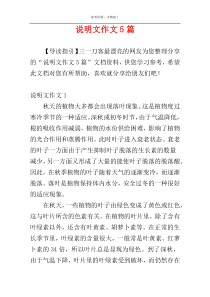 说明文作文5篇