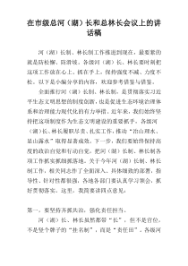在市级总河（湖）长和总林长会议上的讲话稿