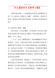什么真好作文【参考5篇】
