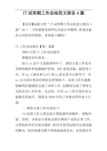 IT试用期工作总结范文报告4篇