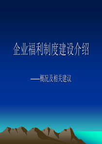 企业福利制度建设介绍(ppt 24)