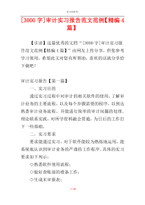 [3000字]审计实习报告范文范例【精编4篇】