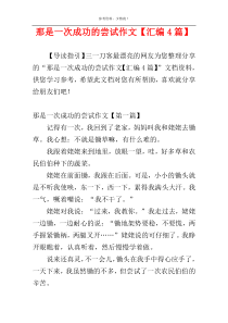 那是一次成功的尝试作文【汇编4篇】