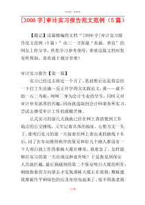 [3000字]审计实习报告范文范例（5篇）