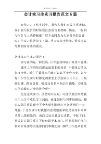 会计实习生实习报告范文5篇