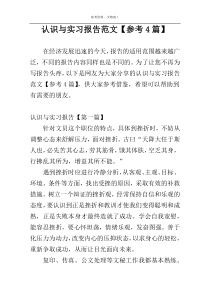 认识与实习报告范文【参考4篇】