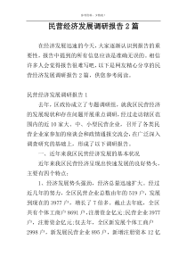 民营经济发展调研报告2篇