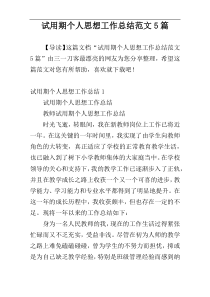 试用期个人思想工作总结范文5篇