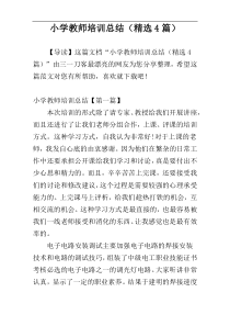 小学教师培训总结（精选4篇）