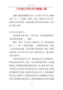 六年级小学生作文精编3篇