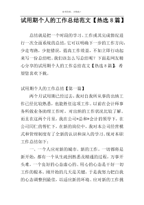 试用期个人的工作总结范文【热选8篇】