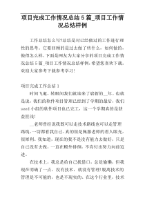 项目完成工作情况总结5篇_项目工作情况总结样例