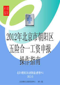 XXXX年北京市朝阳区五险合一工资申报操作指南