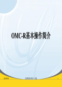 新员工培训系列-OMCR常用操作指令介绍