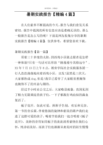 暑期实践报告【精编4篇】