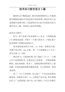 技术实习报告范文3篇