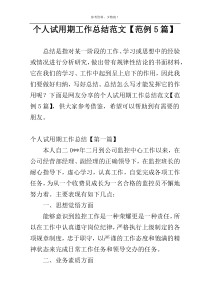 个人试用期工作总结范文【范例5篇】