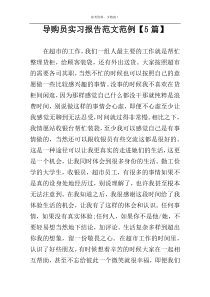 导购员实习报告范文范例【5篇】