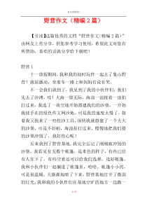野营作文（精编2篇）