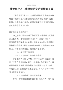 城管局个人工作总结范文范例精编3篇