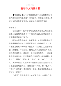 新年作文精编5篇