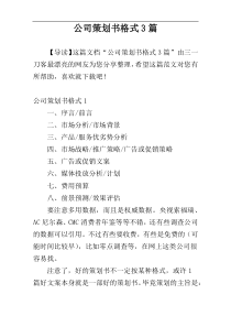 公司策划书格式3篇