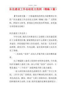 队伍建设工作总结范文范例（精编3篇）