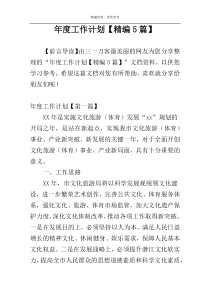年度工作计划【精编5篇】