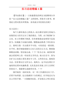 实习总结精编4篇