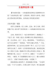含羞草优秀5篇