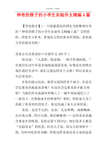 神奇的筷子的小学生实验作文精编4篇