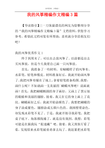 我的风筝精编作文精编3篇